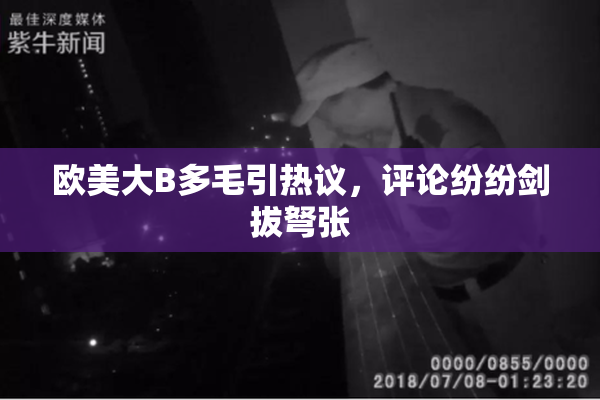 欧美大B多毛引热议，评论纷纷剑拔弩张