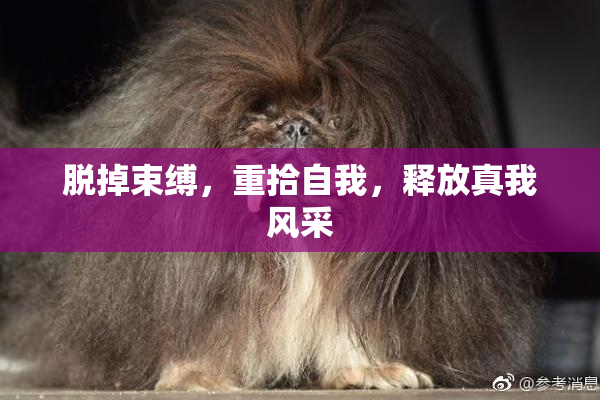 脱掉束缚，重拾自我，释放真我风采