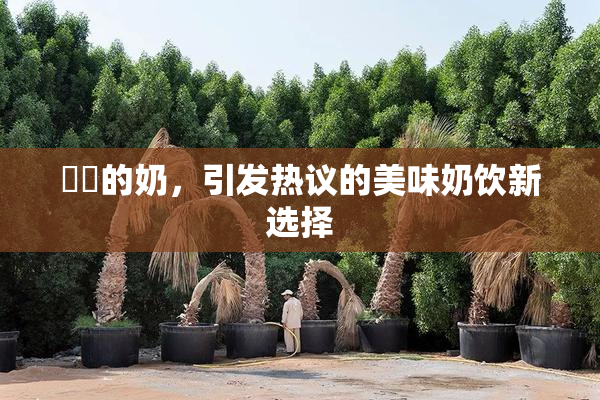 妺妺的奶，引发热议的美味奶饮新选择
