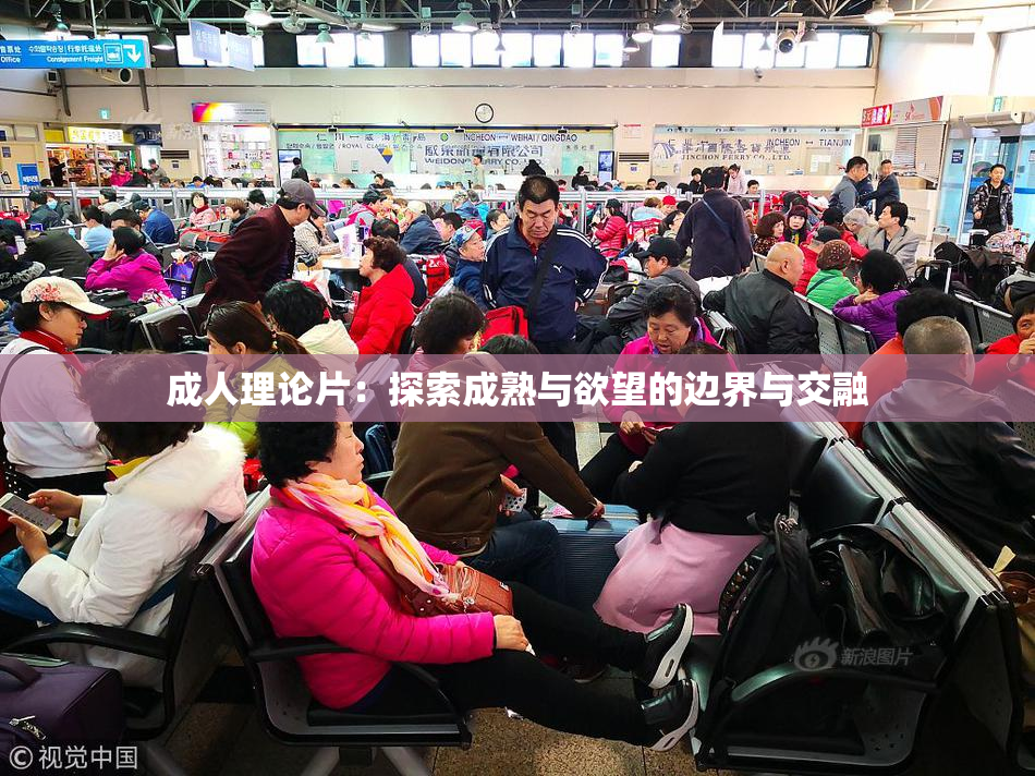 成人理论片：探索成熟与欲望的边界与交融