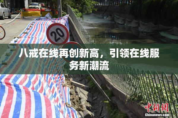 八戒在线再创新高，引领在线服务新潮流