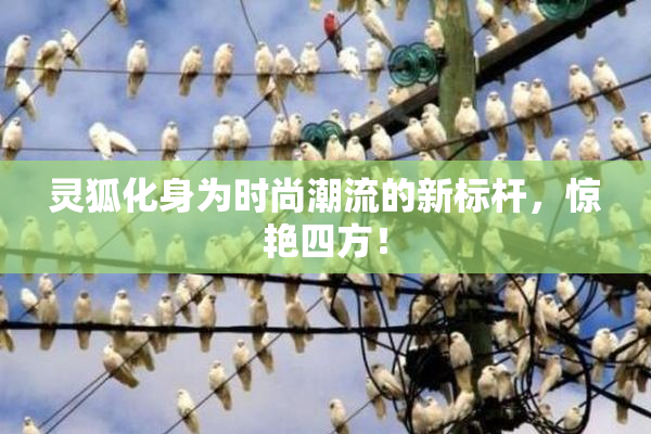 灵狐化身为时尚潮流的新标杆，惊艳四方！