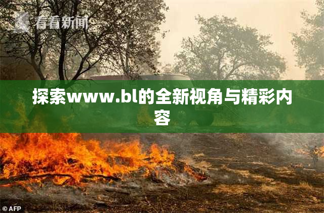 探索www.bl的全新视角与精彩内容