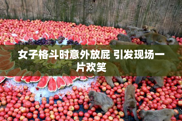 女子格斗时意外放屁 引发现场一片欢笑