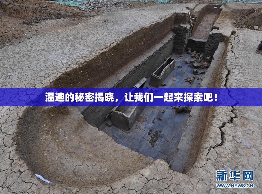 温迪的秘密揭晓，让我们一起来探索吧！