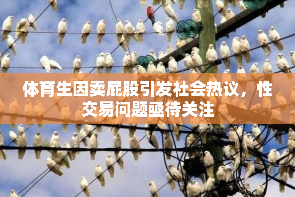 体育生因卖屁股引发社会热议，性交易问题亟待关注