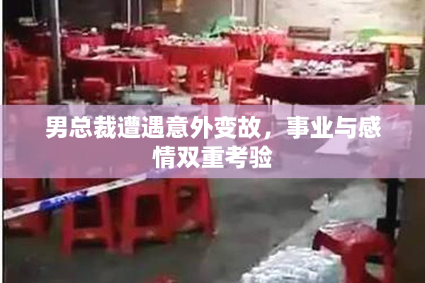 男总裁遭遇意外变故，事业与感情双重考验