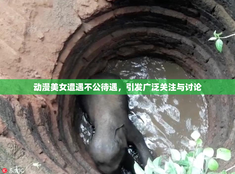 动漫美女遭遇不公待遇，引发广泛关注与讨论