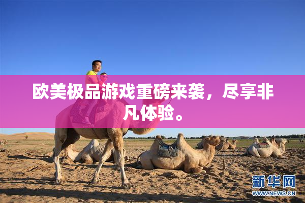 欧美极品游戏重磅来袭，尽享非凡体验。