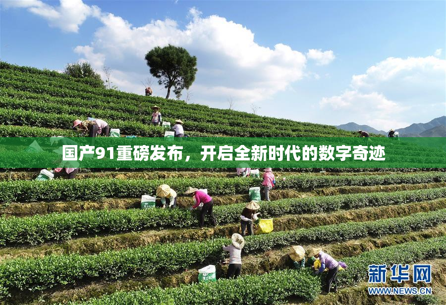 国产91重磅发布，开启全新时代的数字奇迹