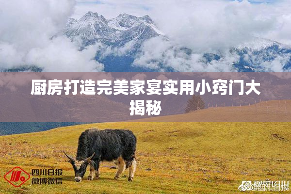 厨房打造完美家宴实用小窍门大揭秘