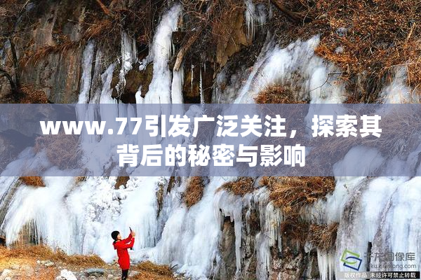 www.77引发广泛关注，探索其背后的秘密与影响