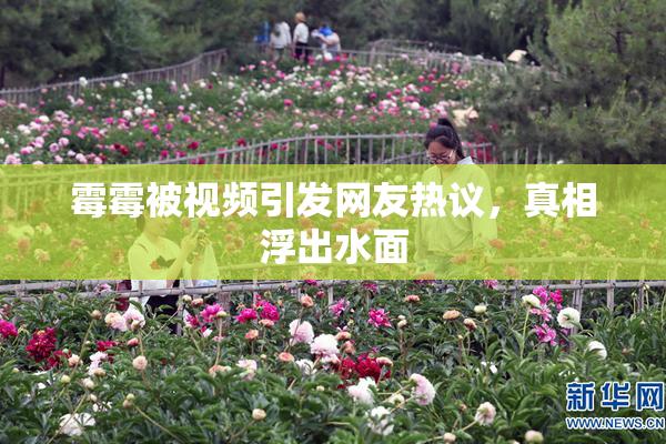 霉霉被视频引发网友热议，真相浮出水面