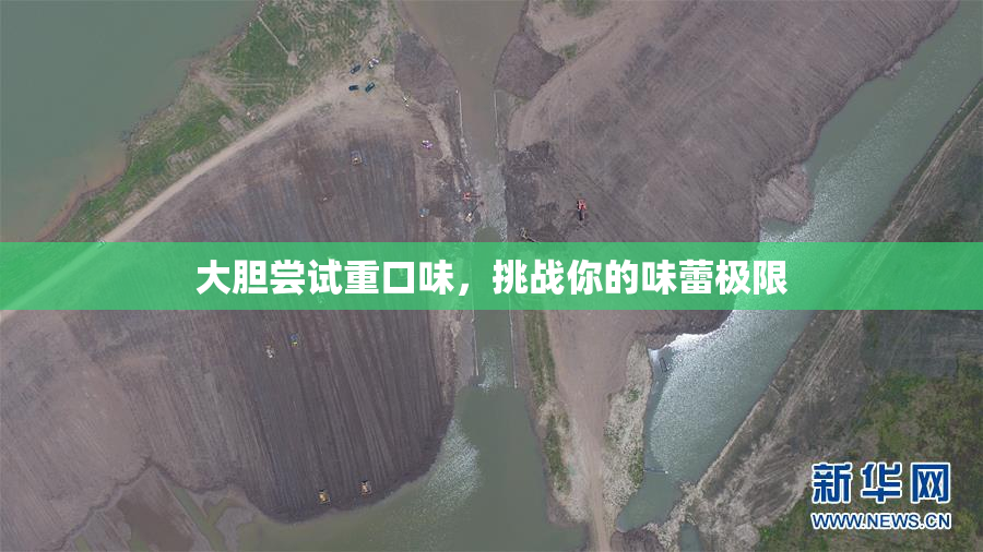 大胆尝试重口味，挑战你的味蕾极限