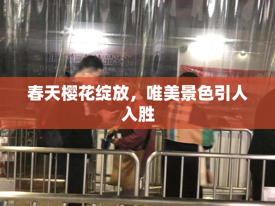 春天樱花绽放，唯美景色引人入胜