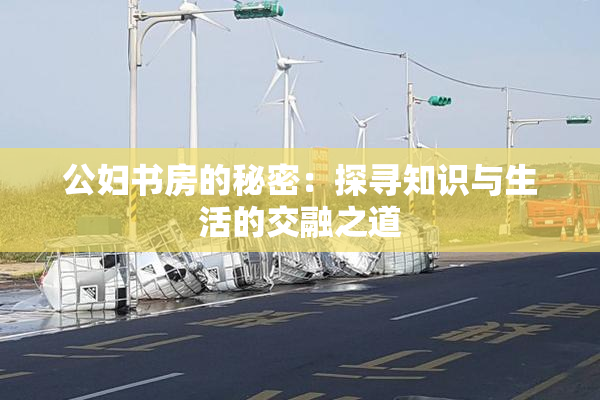 公妇书房的秘密：探寻知识与生活的交融之道