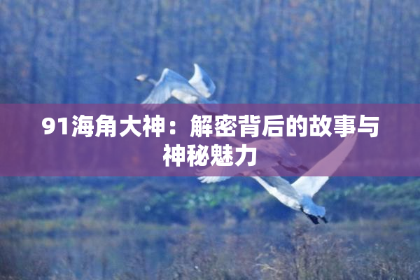91海角大神：解密背后的故事与神秘魅力