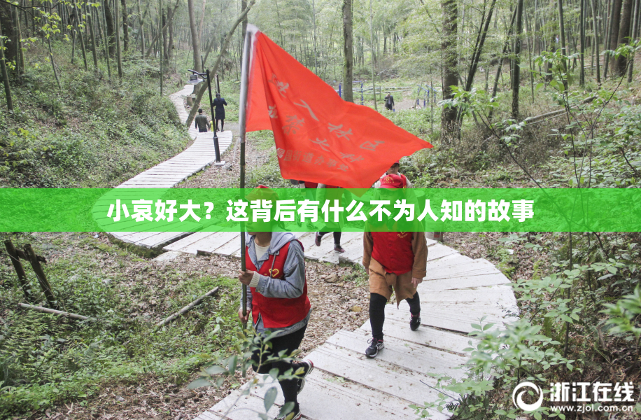 小哀好大？这背后有什么不为人知的故事