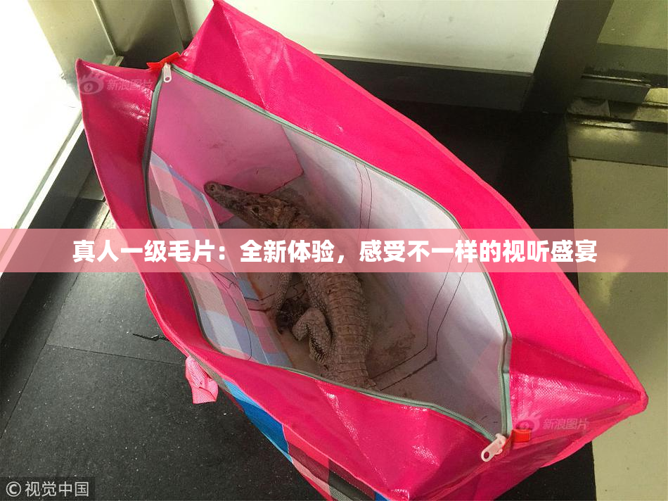 真人一级毛片：全新体验，感受不一样的视听盛宴