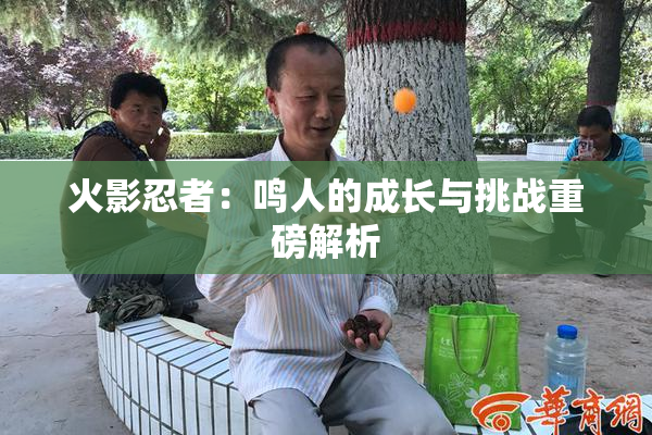 火影忍者：鸣人的成长与挑战重磅解析