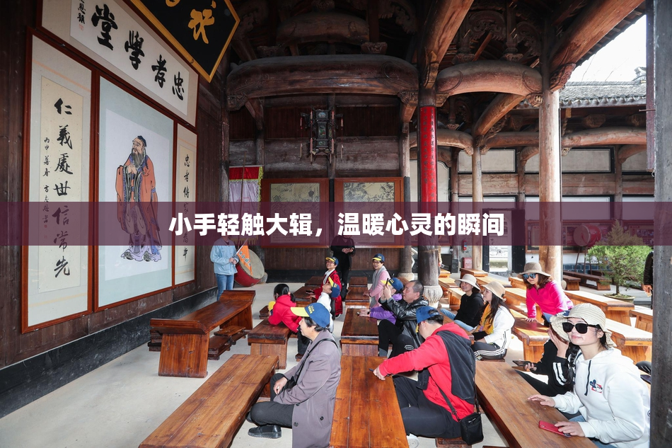 小手轻触大辑，温暖心灵的瞬间