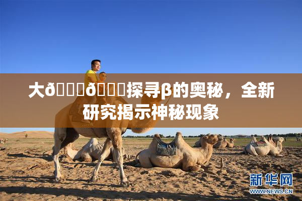 大🐔🐔探寻β的奥秘，全新研究揭示神秘现象