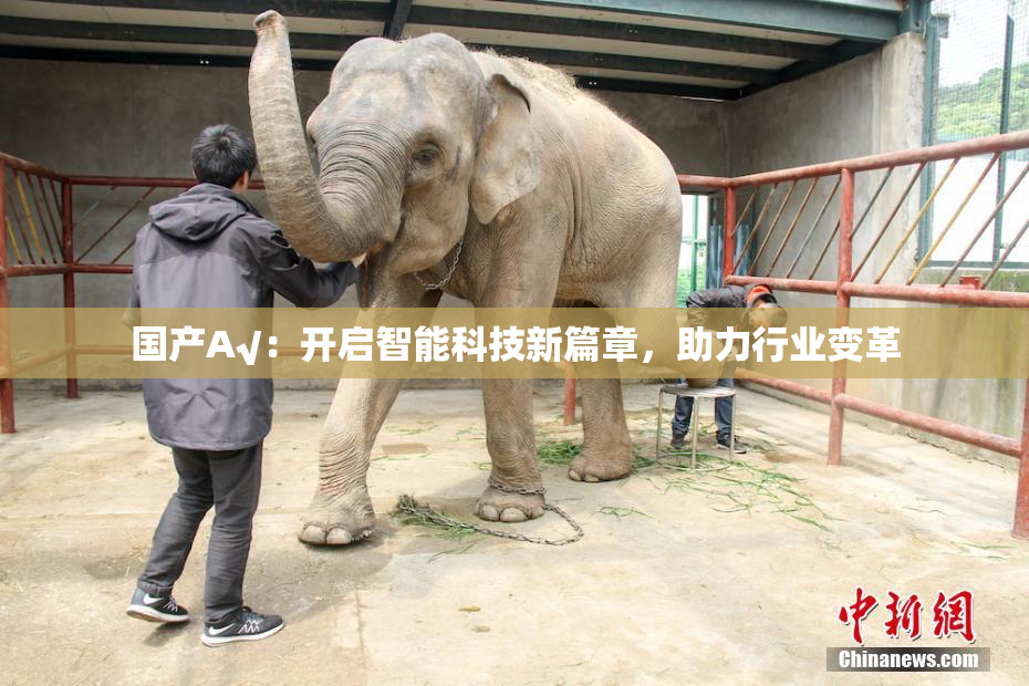 国产A√：开启智能科技新篇章，助力行业变革