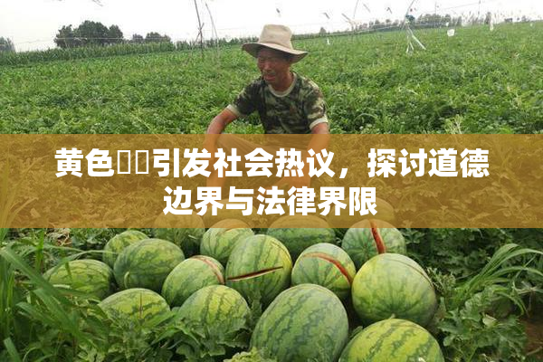 黄色亂倫引发社会热议，探讨道德边界与法律界限