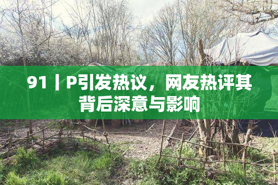 91丨P引发热议，网友热评其背后深意与影响