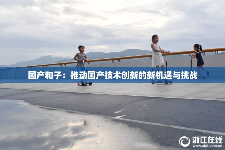 国产和子：推动国产技术创新的新机遇与挑战