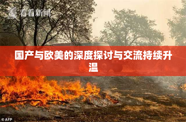 国产与欧美的深度探讨与交流持续升温