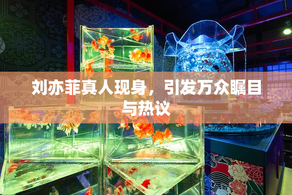 刘亦菲真人现身，引发万众瞩目与热议