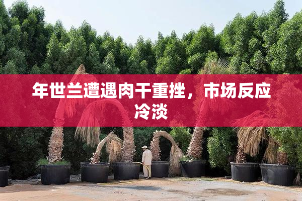 年世兰遭遇肉干重挫，市场反应冷淡