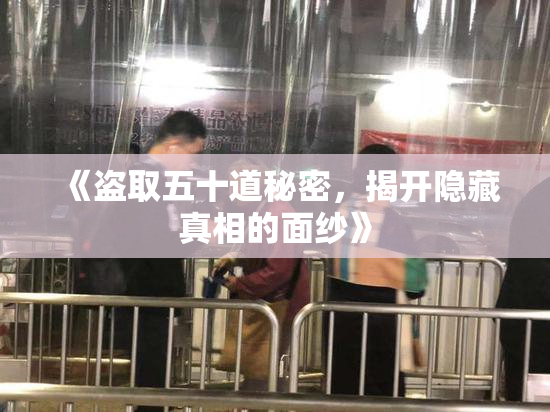 《盗取五十道秘密，揭开隐藏真相的面纱》