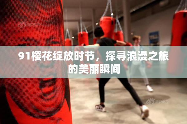 91樱花绽放时节，探寻浪漫之旅的美丽瞬间