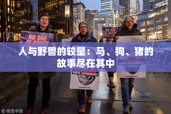 人与野兽的较量：马、狗、猪的故事尽在其中