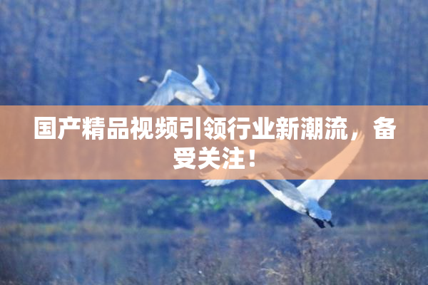 国产精品视频引领行业新潮流，备受关注！