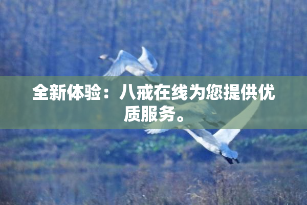 全新体验：八戒在线为您提供优质服务。