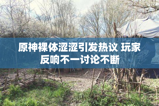 原神裸体涩涩引发热议 玩家反响不一讨论不断