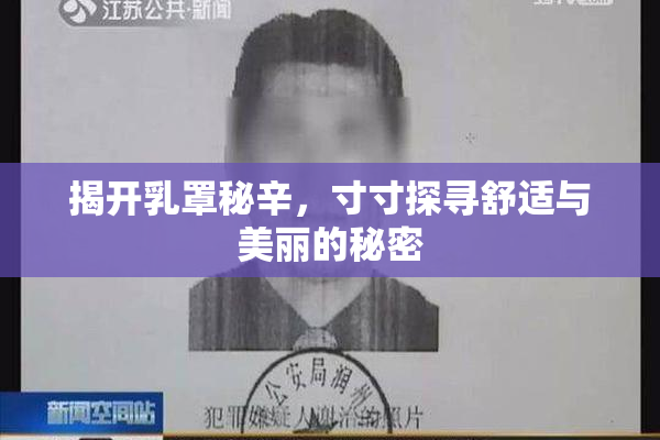 揭开乳罩秘辛，寸寸探寻舒适与美丽的秘密