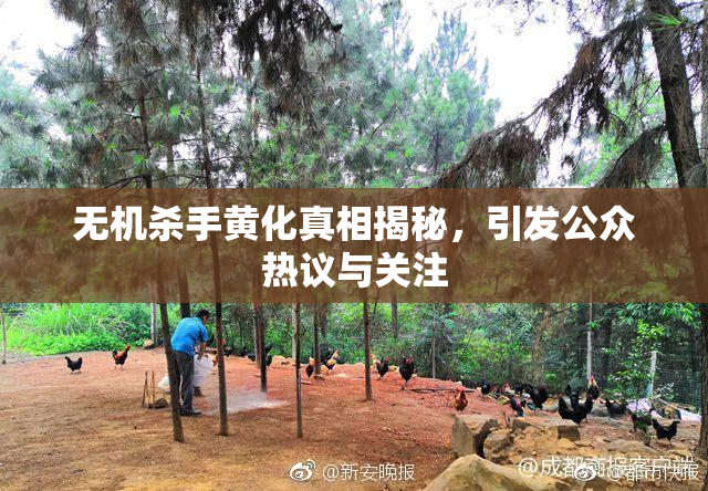 无机杀手黄化真相揭秘，引发公众热议与关注
