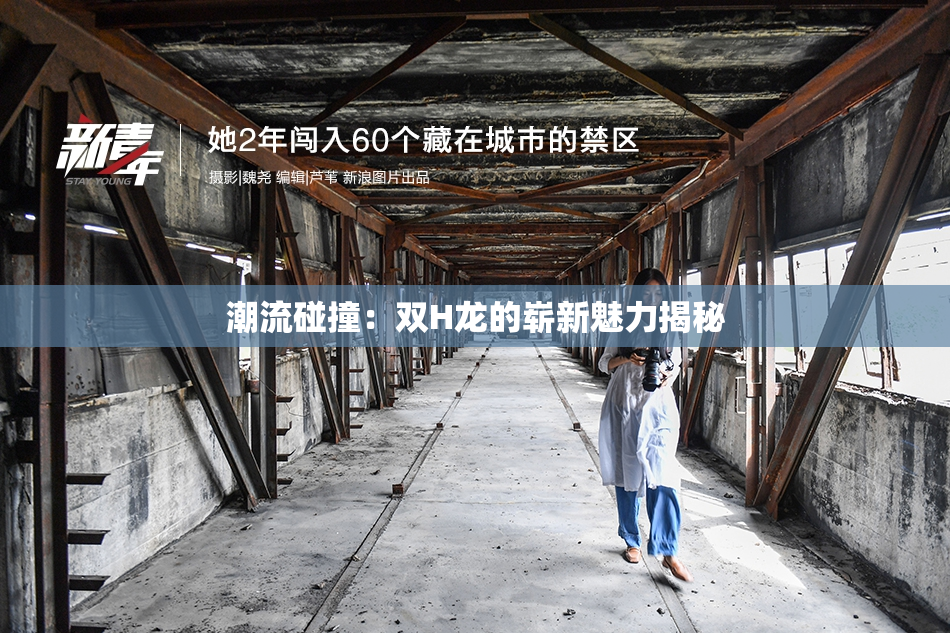 潮流碰撞：双H龙的崭新魅力揭秘