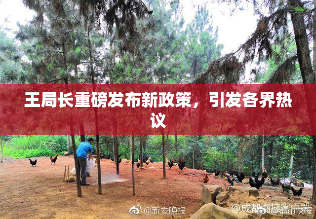 王局长重磅发布新政策，引发各界热议