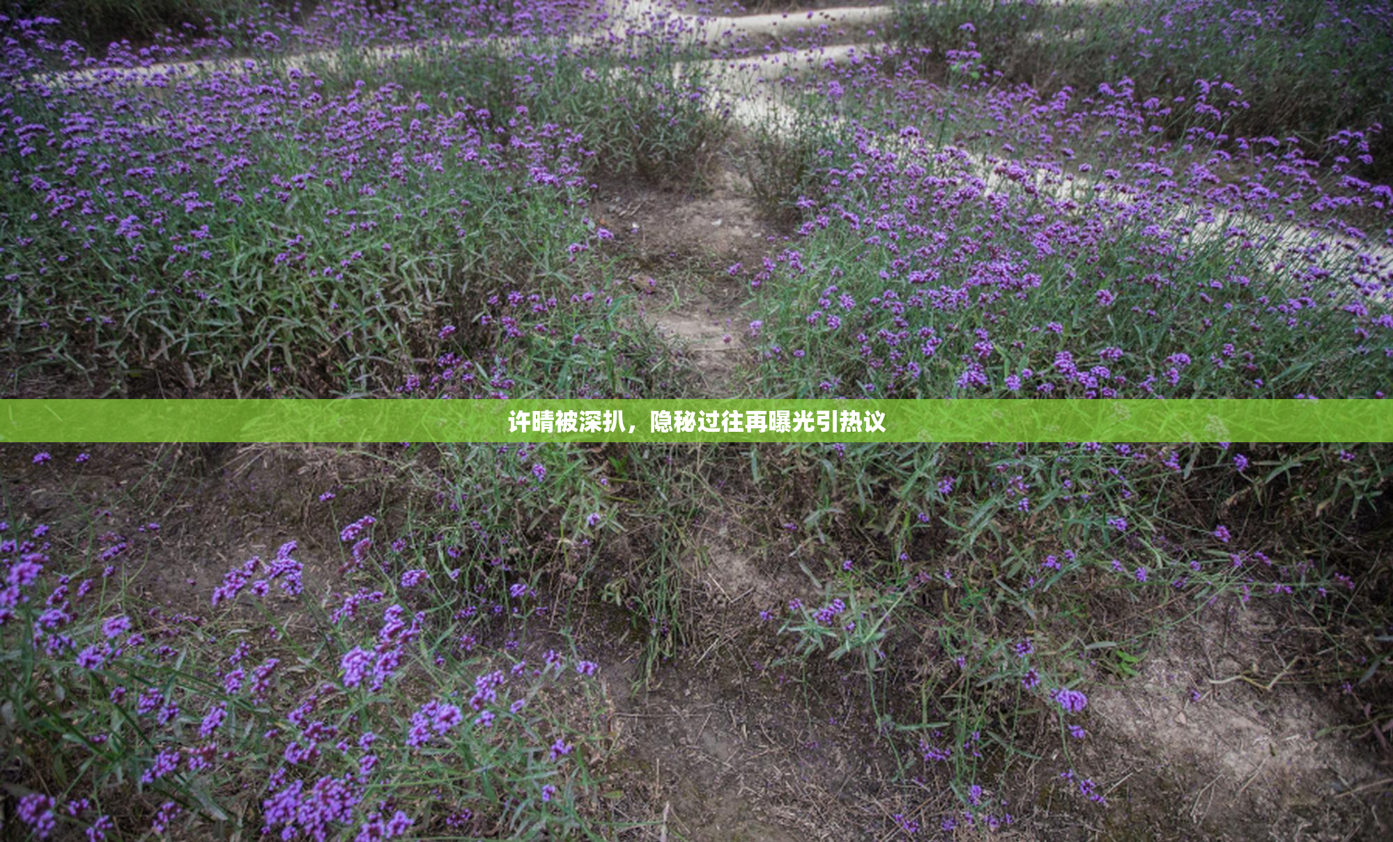 许晴被深扒，隐秘过往再曝光引热议