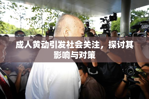 成人黄动引发社会关注，探讨其影响与对策
