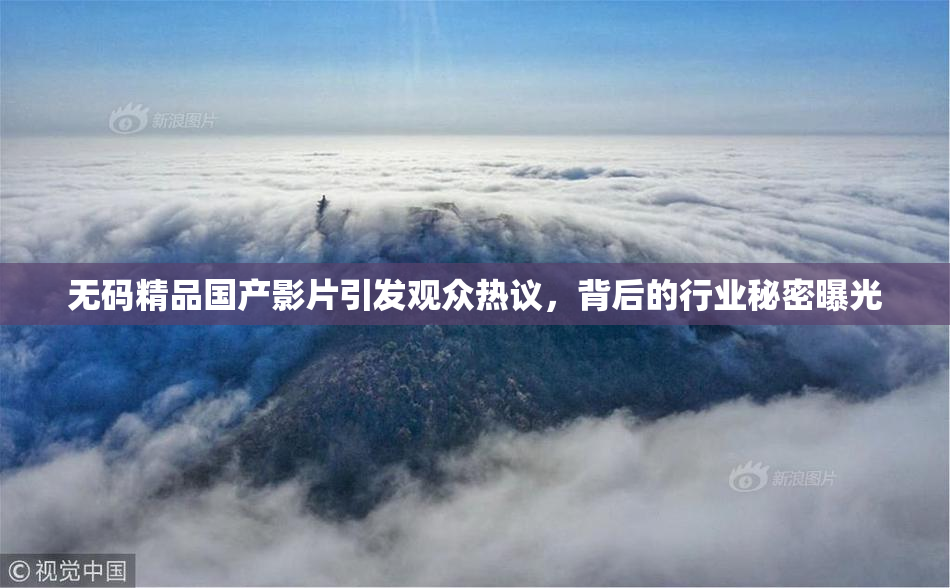 无码精品国产影片引发观众热议，背后的行业秘密曝光