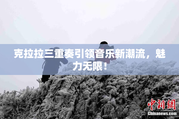 克拉拉三重奏引领音乐新潮流，魅力无限！