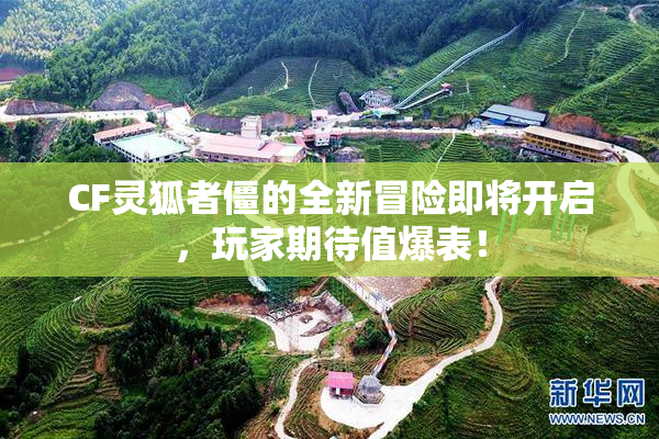 CF灵狐者僵的全新冒险即将开启，玩家期待值爆表！