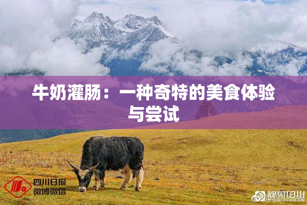 牛奶灌肠：一种奇特的美食体验与尝试