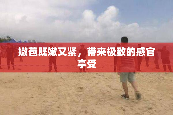 嫩苞既嫩又紧，带来极致的感官享受
